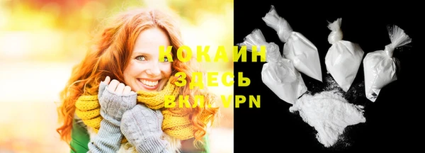 стаф Новодвинск