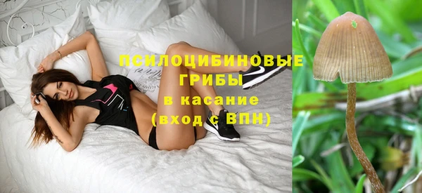 дживик Алексеевка