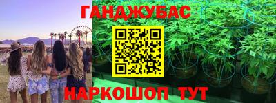 Альфа ПВП Камышлов