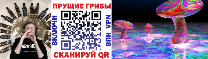 где можно купить   Лабытнанги  Псилоцибиновые грибы MAGIC MUSHROOMS 