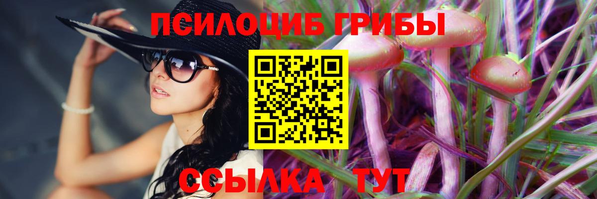 Псилоцибиновые грибы GOLDEN TEACHER Лабытнанги