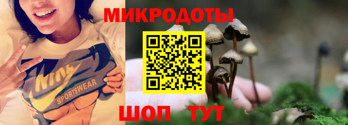 Лабытнанги  Псилоцибиновые грибы мухоморы  как найти наркотики  Вход с VPN 